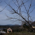 用户对于ぢどり屋孔大寺的评论图
