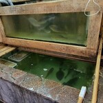 用戶對於磯の屋的評論圖