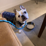 User's review image for ヤングツリーズコーヒー