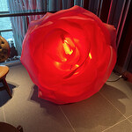 用户对于WASHOKU 蒼天的评论图