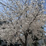 User's review image for パパパパ ベーカリー