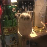 User's review image for ヤオチョウバー