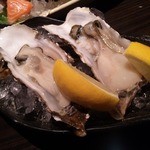 用户对于漁的评论图