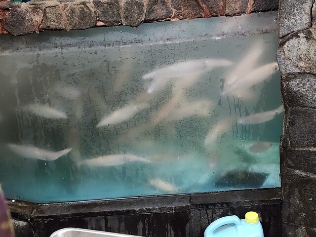 用戶對於居酒屋 まる家 西中洲的評論高清圖