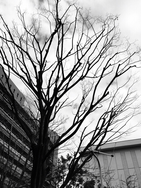 User's recommendation image for 松屋 近鉄八尾駅前店