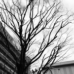 User's review image for 松屋 近鉄八尾駅前店