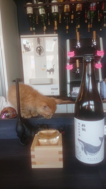 用户对于Cafe&Diningbar With Cat's Lamp的评论高清图