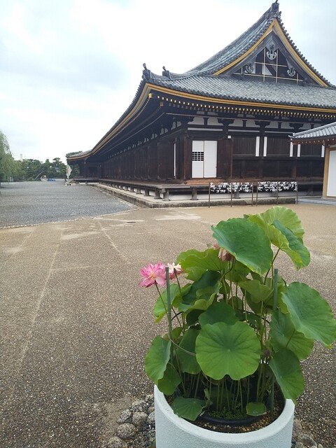用戶對於器食堂的評論高清圖