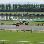 用戶對於吉野家 京都競馬場店的評論圖