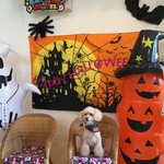 用戶對於シアン ア ラ モード的評論圖