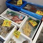 用戶對於おさかな 魚四季的評論圖