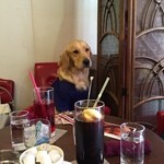 User's review image for cafe de monca