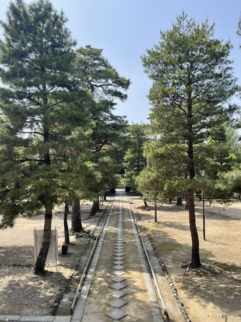 用戶對於黄龍閣的評論高清圖