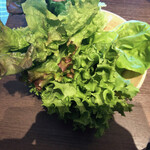 User's review image for ハヌリ 新橋店