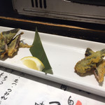 用戶對於いずみ田 中目黒店的評論圖