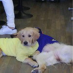 User's review image for cafe de monca