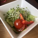 用户对于TALON的评论图