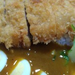 用户对于カリーハウス コロンボ的评论图