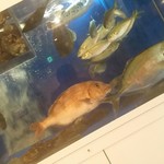 用户对于海鮮居酒屋 天秤棒 玉造店的评论图