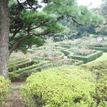 用户对于旧古河庭園 洋館　喫茶室的评论图