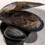 User's review image for misola