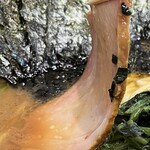 用戶對於王道家直系 IEKEI TOKYO的評論圖