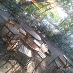 用戶對於イタリアン・トマトカフェジュニア 東大駒場店的評論圖