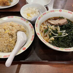 用户对于蓬莱春的评论图