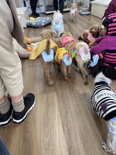 User's recommendation image for 保護犬＆保護猫カフェ 寺田町店