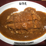 用户对于旨辛カレー専門店 白洋亭的评论图