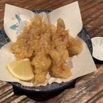 用户对于ひろ志的评论图