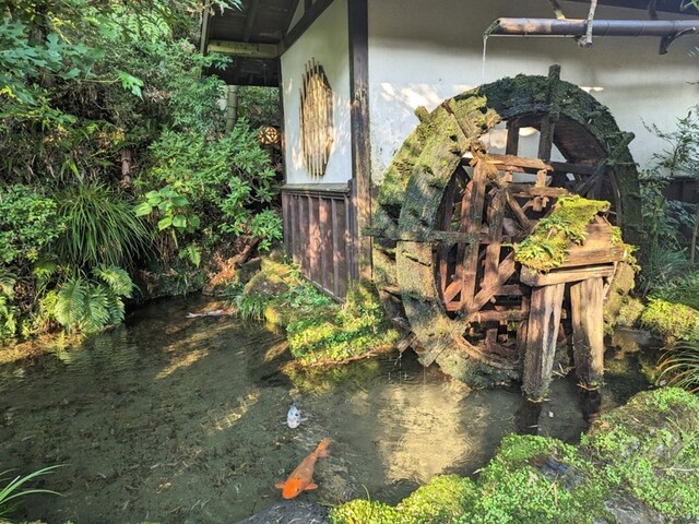 User's recommendation image for うかい竹亭