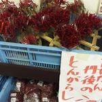 用户对于久美浜サンカイカン的评论图