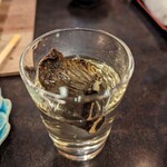 用户对于しらかわ的评论图