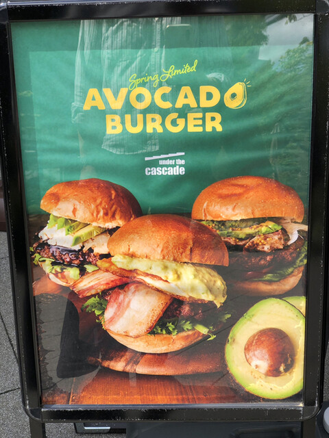 User's recommendation image for ​under the cascade