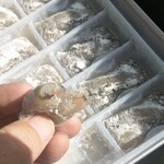 用戶對於秩父別温泉ちっぷゆう&ゆ的評論圖