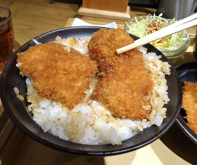 用户对于新潟カツ丼 タレカツ 神保町すずらん通り店的评论高清图