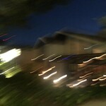 用戶對於IVY PLACE的評論圖