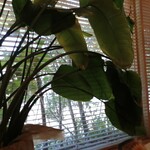 User's review image for urara