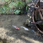 User's review image for うかい竹亭