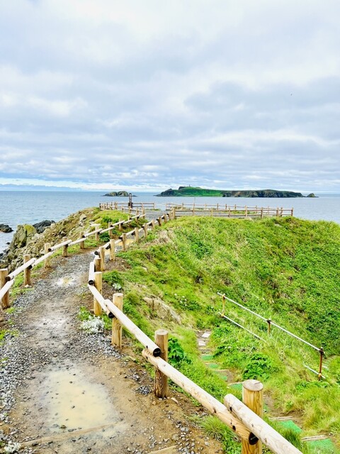 用戶對於島の人 礼文島本店的評論高清圖