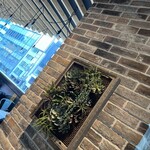 用戶對於Guzman y Gomez ラフォーレ原宿店的評論圖