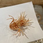 User's review image for 天ぷら浅沼