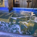 用户对于あまの的评论图