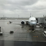 用戶對於キャセイパシフィック ラウンジ 東京 羽田空港的評論圖