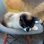 User's review image for Yogibo Versailles Resort Farm CAFE