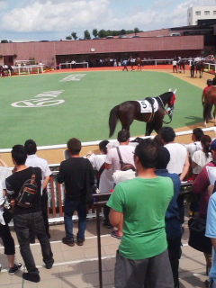 用户对于サッポロライオン 札幌競馬場店的评论图