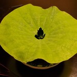 用户对于京料理 箔的评论图