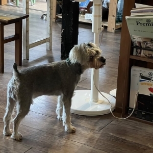 User's review image for Vegeto Coffee