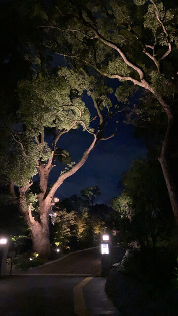 用戶對於高宮庭園茶寮的評論高清圖